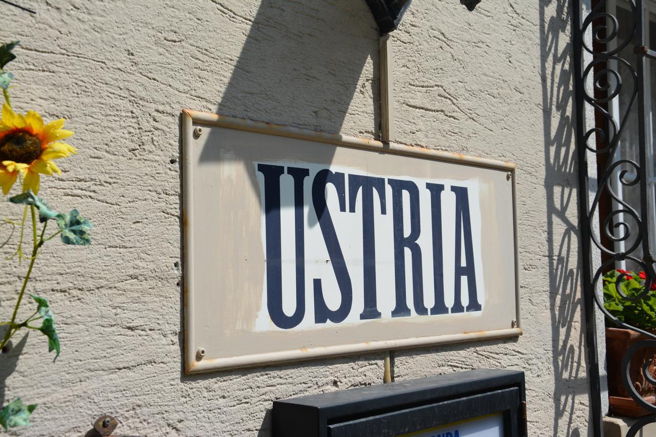 Ustria Crusch Alva Bed & Breakfast Tavanasa Luaran gambar